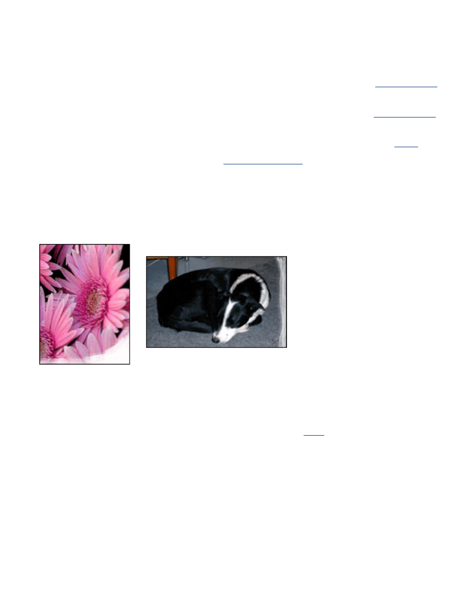 borderless inkjet printer